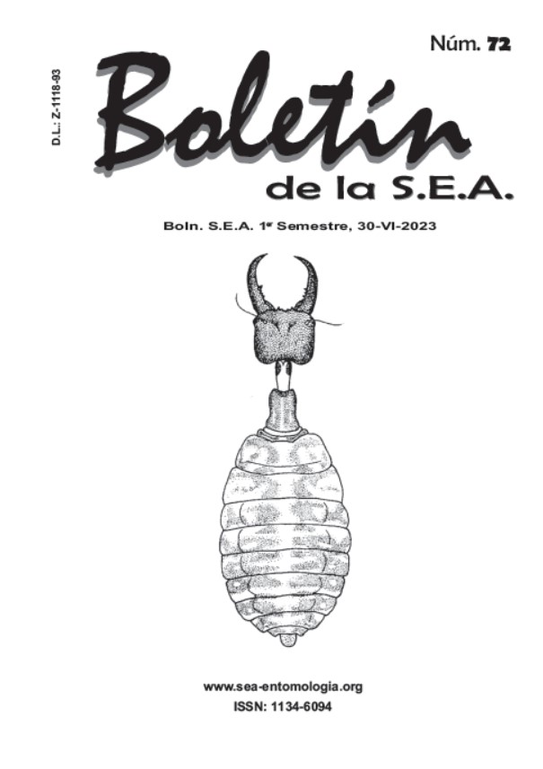 Boletín 72